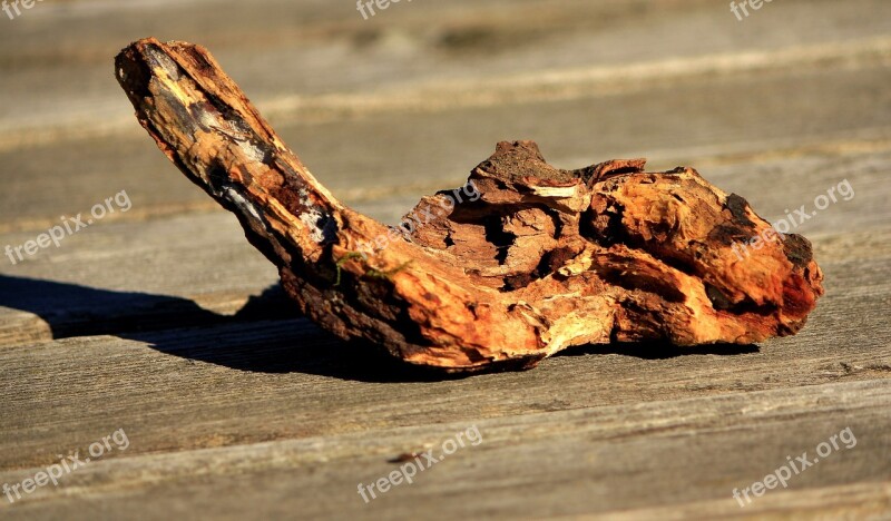 Artifact Wood Piece Root Nature Free Photos