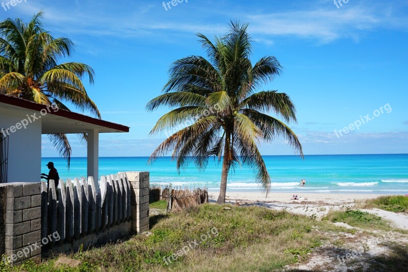 Cuba Varadero Beach Caribbean Palm Trees