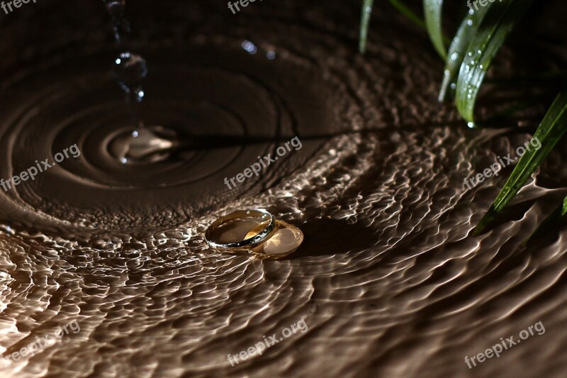 Alliances Agua Against Light Waves Green Leaves