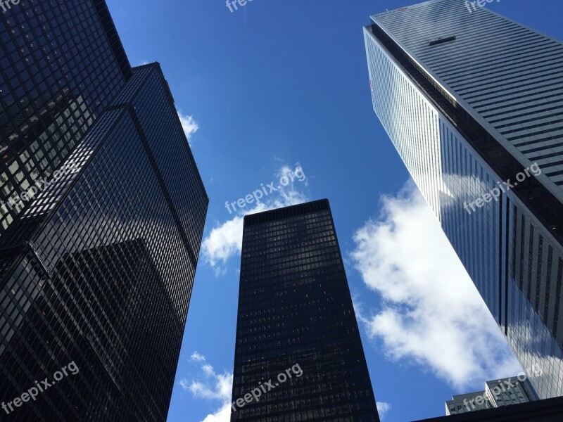 Buildings Toronto Downtown City Urban