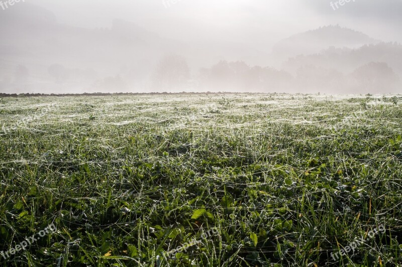 Meadow Frost Hoarfrost Nature Spider Webs