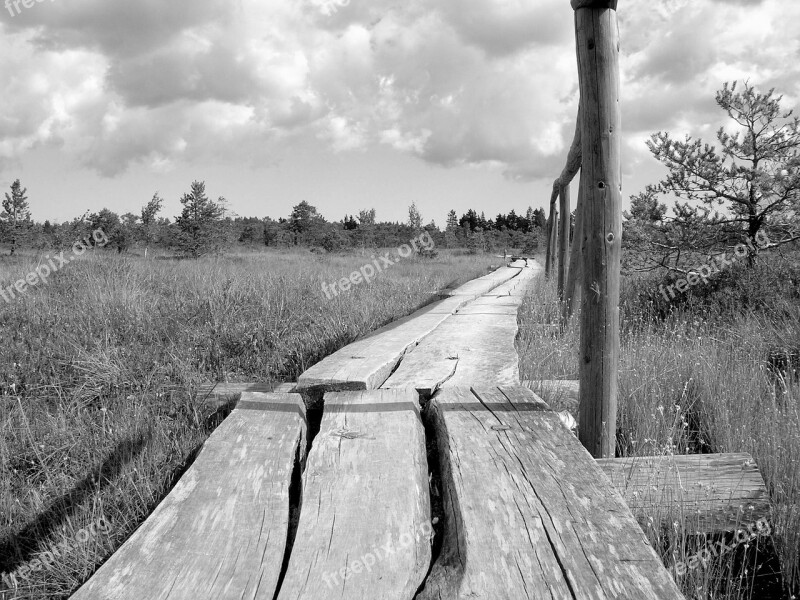 Latvia In The Bog Black And White Karg Mystical