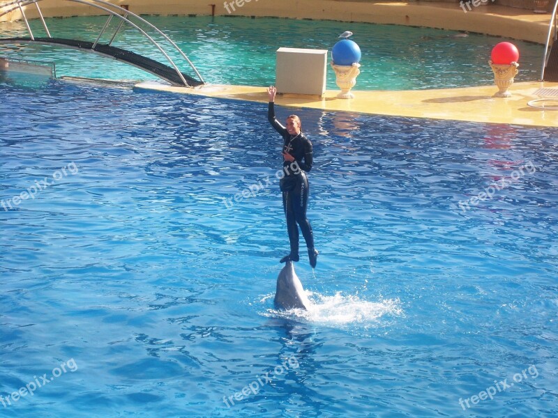 Zoo Marineland Dolphin Door Basin