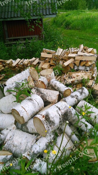 A Pile Of Log Birch Free Photos