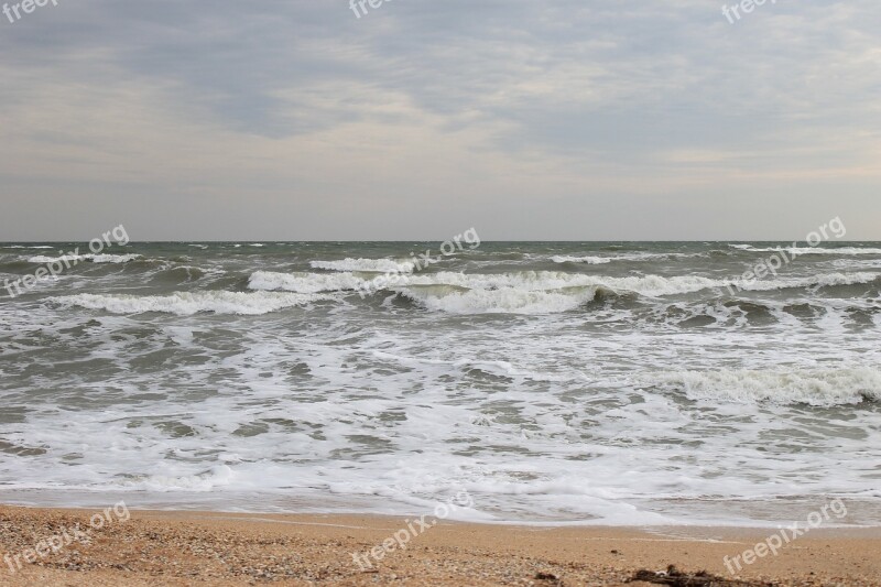 Sea Beach Sky Seashells Summer