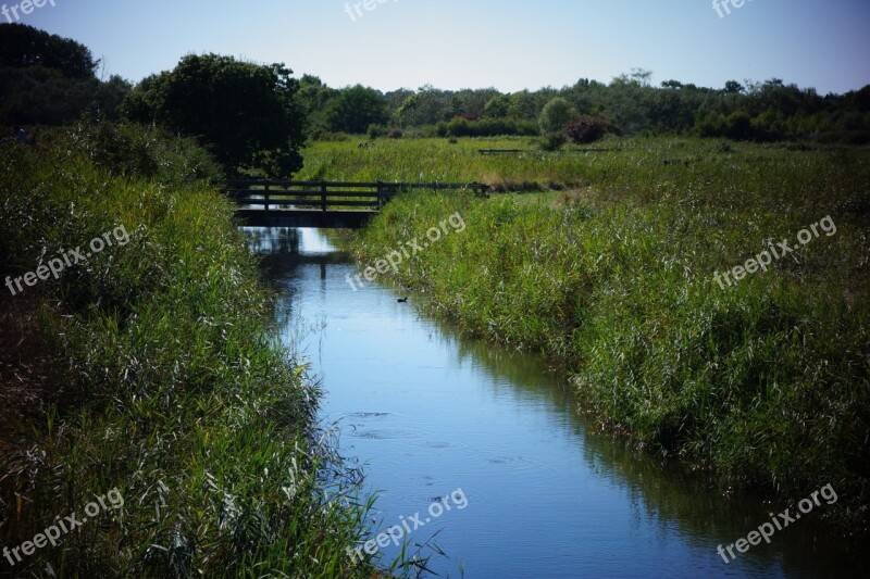 Lake Water Nature Sky Mare