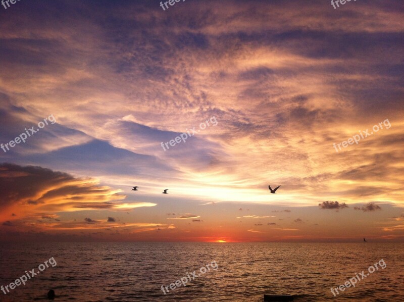 Atardecer Playa Cielo Mar Beach