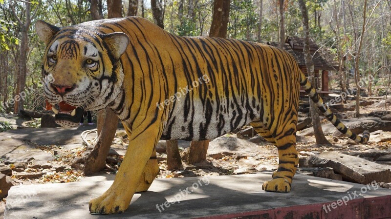 Tiger Statue Awesome Pattern Fangs