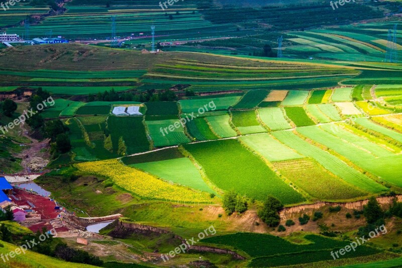 Terrace Fields Agriculture Plant Landscape