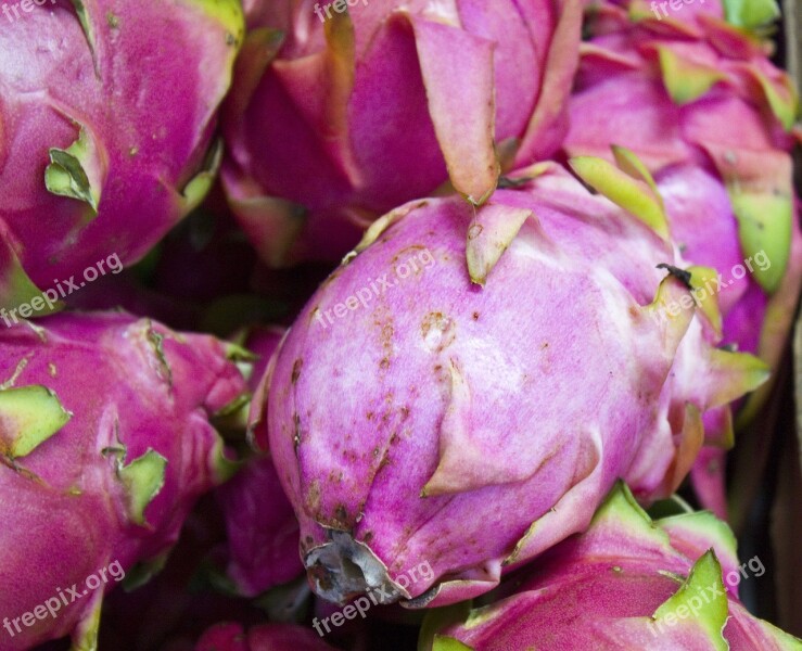 Dragonfruit Fruit Tasty Pinkg Exotic