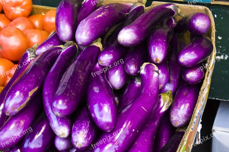 Eggplant Vegetable Food Fresh Organic