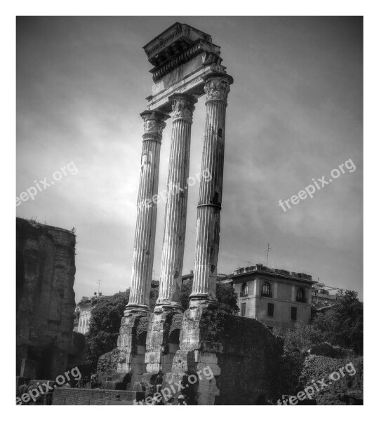 Forum Rome Roman Forum Italy Temple