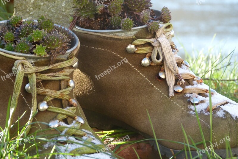 Shoes Planted Decoration Hiking Shoes Close Up