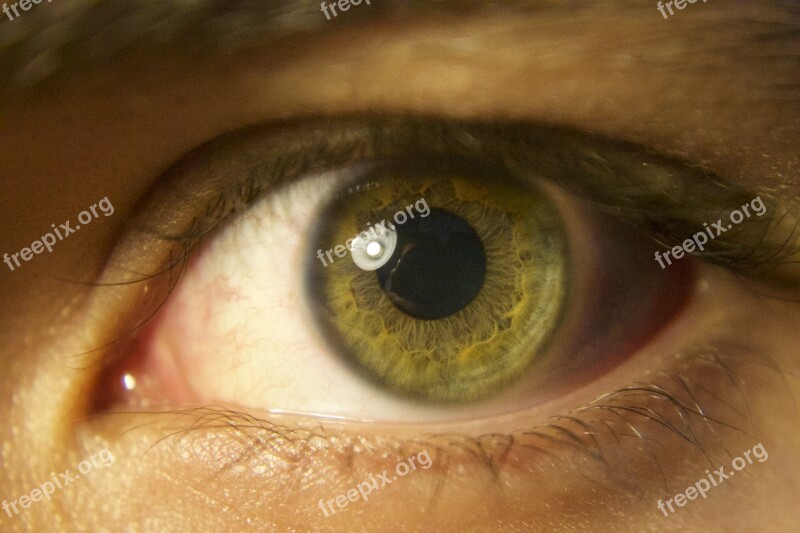 Eye Green Pupil Iris Tabs