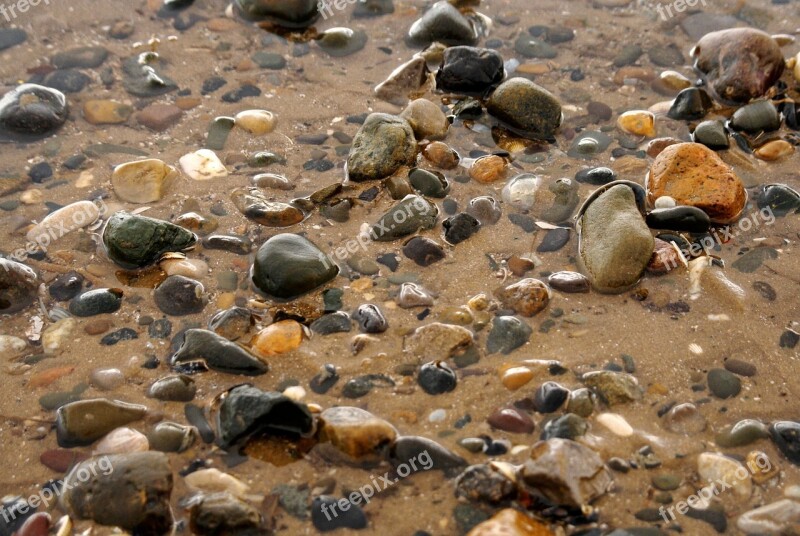 Beach Pebbles Shells Water Sea