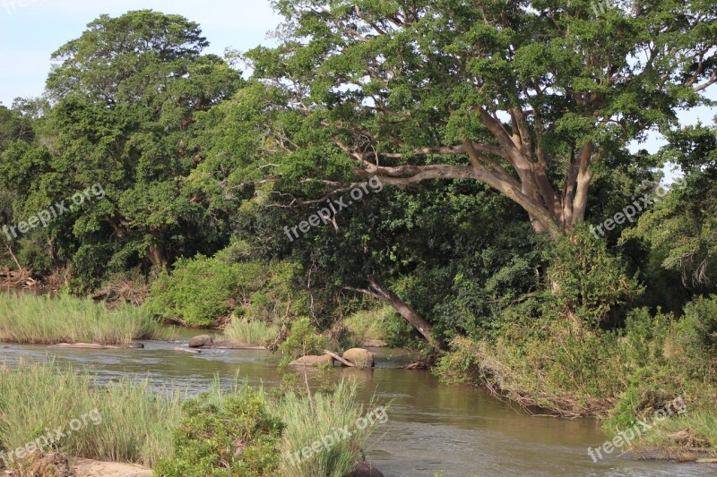 River Wild Nature Natural Nature Landscape