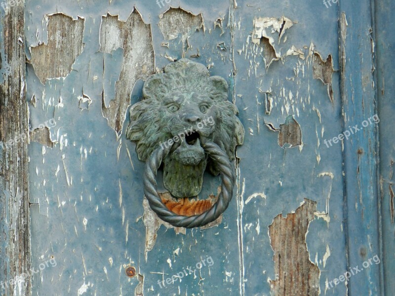 Door Blue Door Knocker Knocker Lion