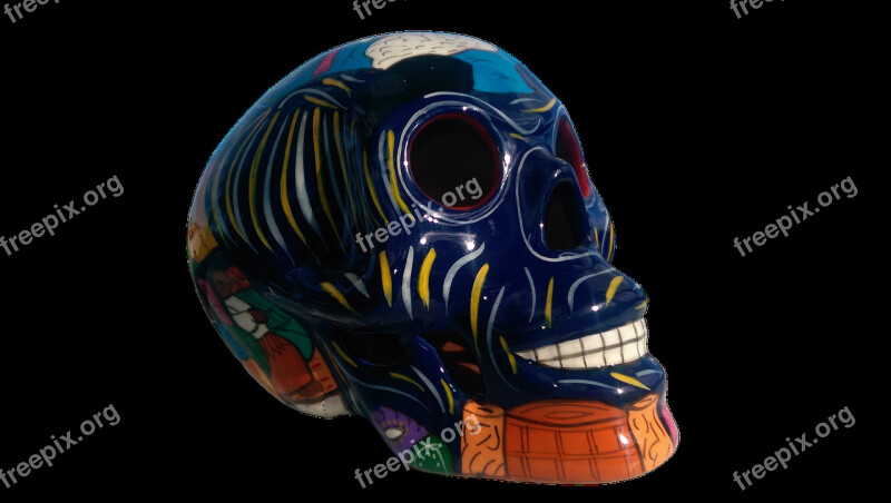 Isolated Skull Colorful Skeleton Death