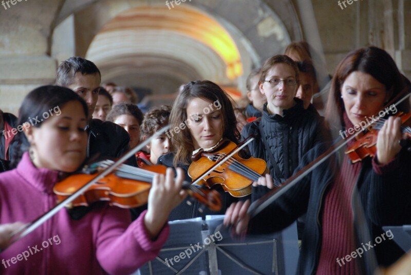 Chamber Music Violin Viola Instrument Performing