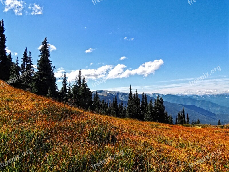 Deer Park Olympics Washington Washington State Nature