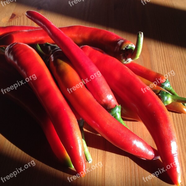 Chili Pepper Spicy Garden Free Photos