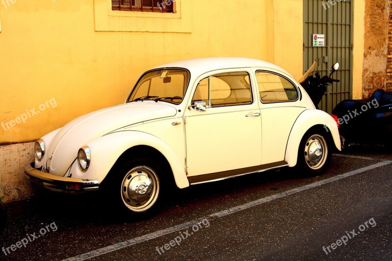 Beetle Oldtimer Volkswagen Vw White