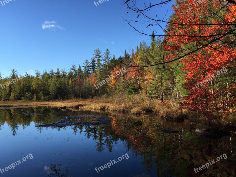 Reflections Pond Adirondacks Water Landscape