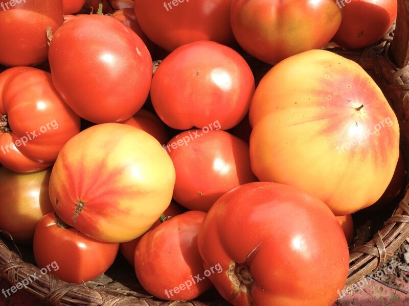 Heirloom Tomatoes Red Yellow Garden Heirloom