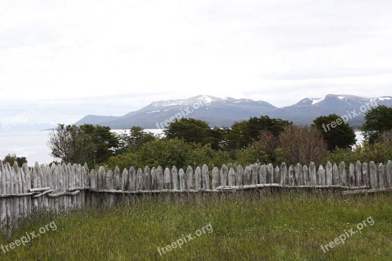 Patagonia Chile Strong Forest Free Photos