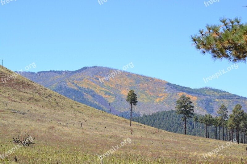 Background Image Fall Mountain Free Photos