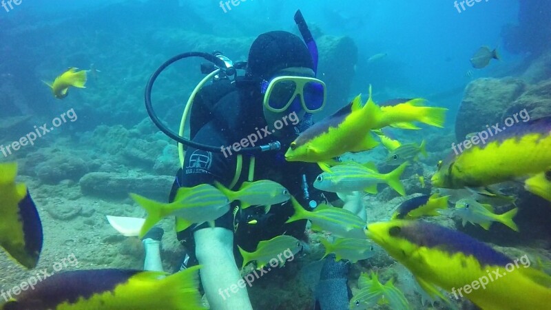 Diving Paraíba Shipwreck João Pessoa Litoral