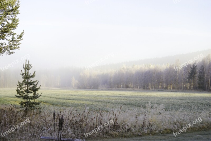 Nature Mist Sunrise Sweden Landscapes