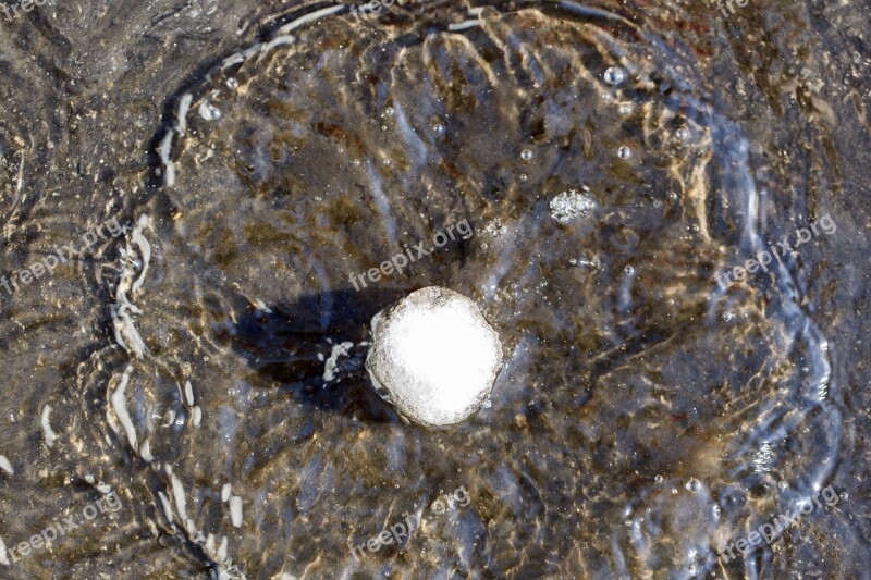 Snow Ball Splash Puddle Water Contact