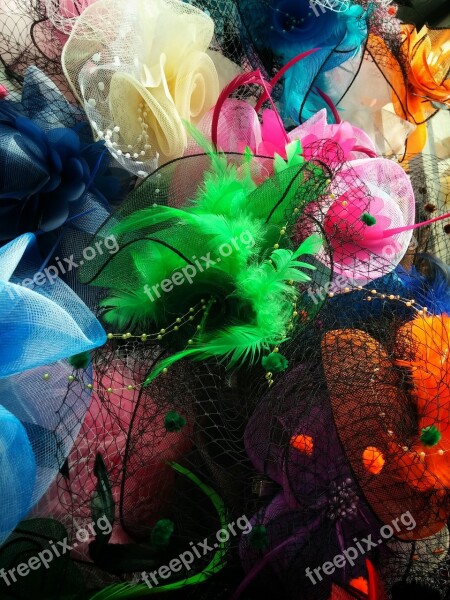 Fascinator Accessory Hair Feathers Racing