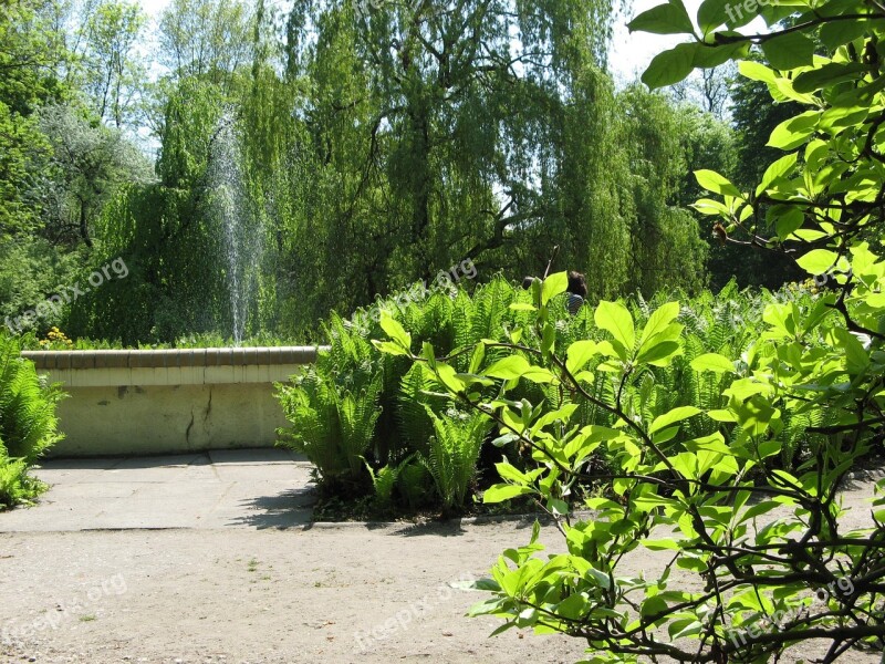 Park Landscape Tree Nature Green