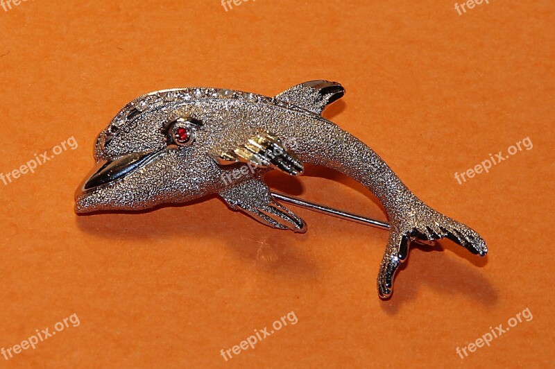 Dolphin Brooch Jewel Silver Bright