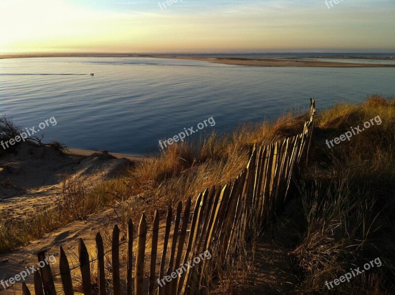 Pyla Dune Wooden Palisade Dune Ridge Summer Free Photos