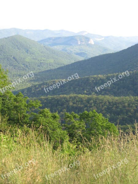 Tree Mountain Nature Landscape Green