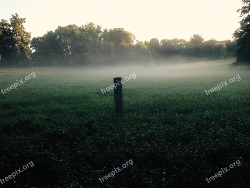 Meadow Field Mist Grass Green