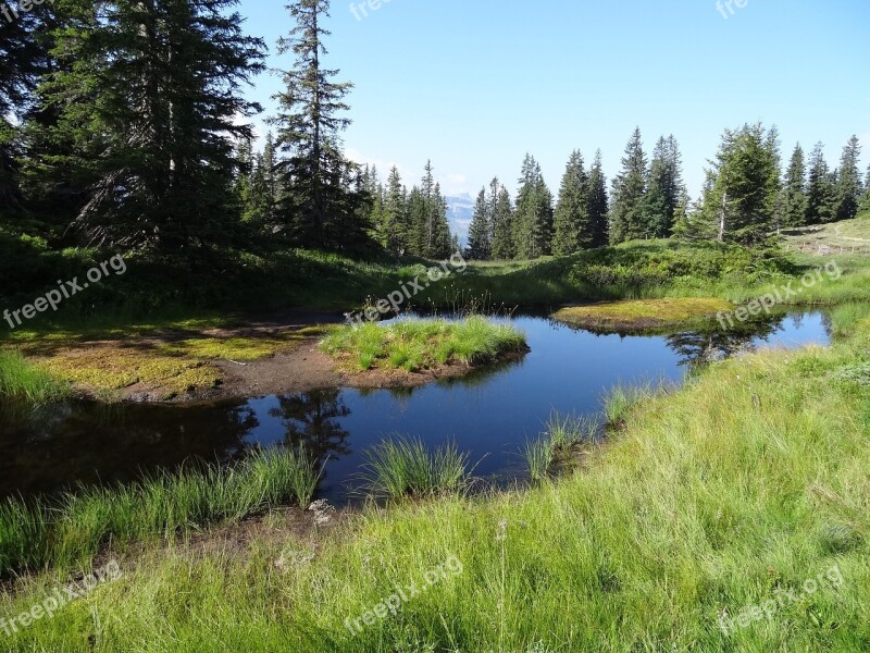 Mountain Moor Water Mountain Meadow Mountain Forests