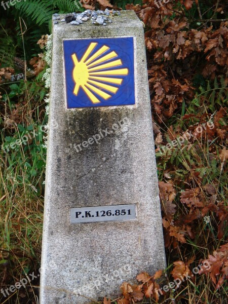 Galicia Way Of St James Pilgrim Camino Santiago Landscape