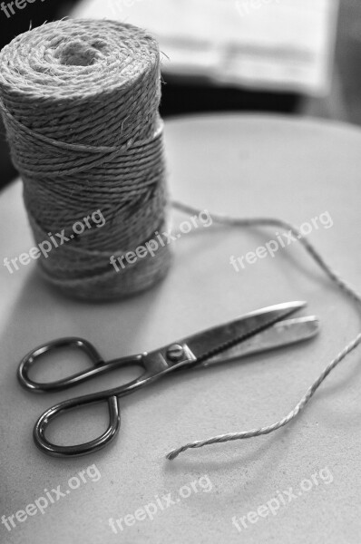 Thread Scissors Craft Fact Hand