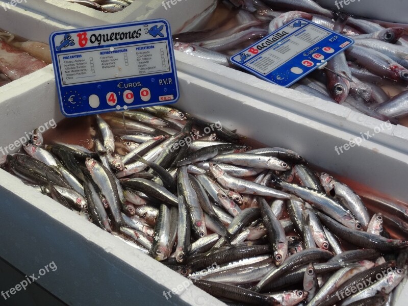 Boquerones Cordoba Fish Market Costs