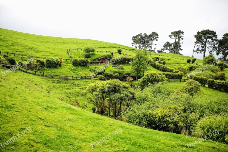 New Zealand Ring Shot The Hobby The Shire Matamata