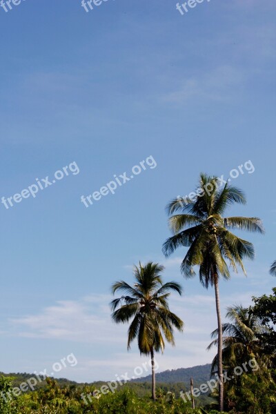 Thailand Palm Sky Vacations Wave