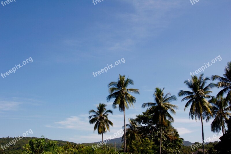 Thailand Palm Sky Vacations Wave