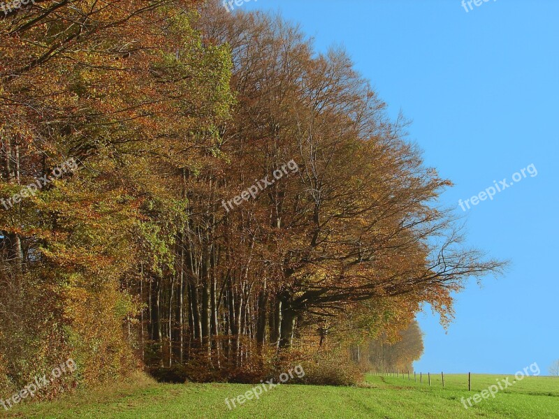 Edge Of The Woods Mood Landscape Nature Free Photos