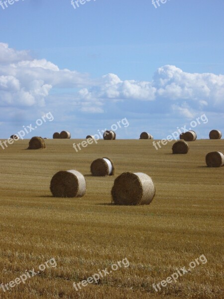 Straw Bales Straw Landscape Agriculture Clouds