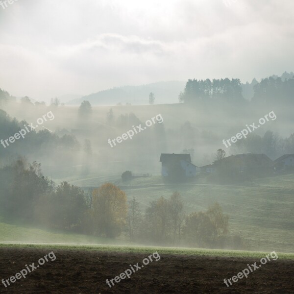 Fog Landscape Hill Meadow Fog Bank