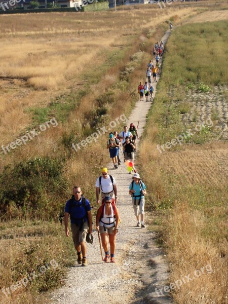 Camino Santiago Galicia Pilgrim Path Landscape